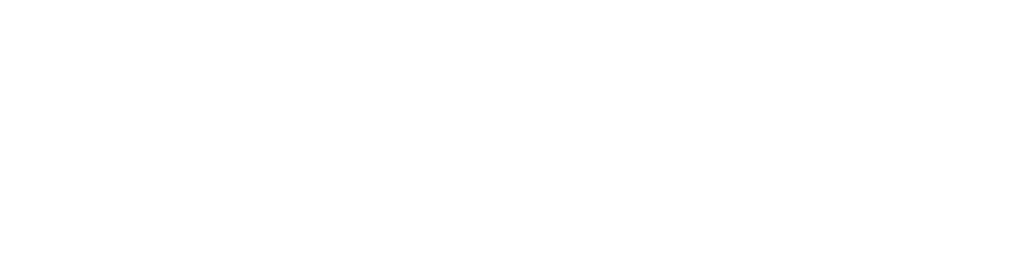 BodyMedia Logo